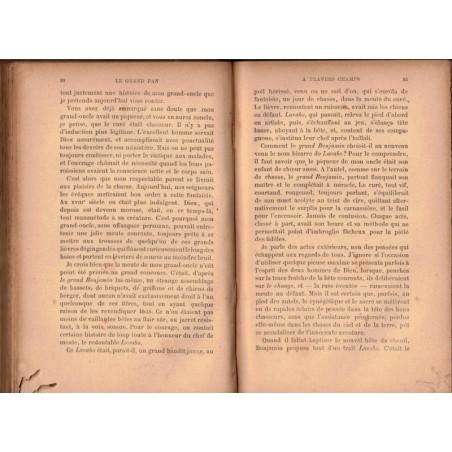 Le grand pan, Georges Clémenceau, 1896 - société au XIXe siècle