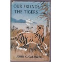 Our friends the tigers, John Caldwell - Chine, wild animals, animaux sauvages, félins, tigres, fauves