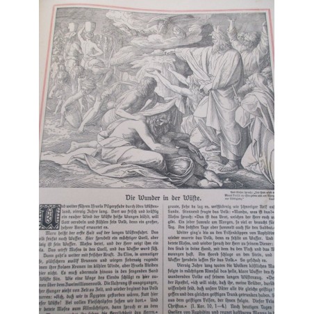 Katholische Bilder-Bibel des Alten und Neuen Tesstamentes, 1911, Franz Albert Reimeringer, Bible en images