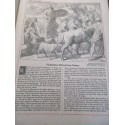 Katholische Bilder-Bibel des Alten und Neuen Tesstamentes, 1911, Franz Albert Reimeringer, Bible en images