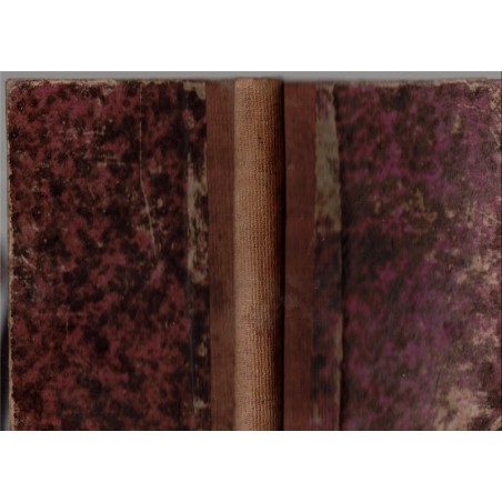 Histoire de la première Croisade, Joseph-François Michaud, 1873 - chrétienté, Moyen Age, Bibliothek Französischer Werke