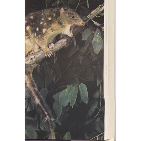 Les paradis sauvages, John Gooders, 1976., animaux sauvages, faune, nature,