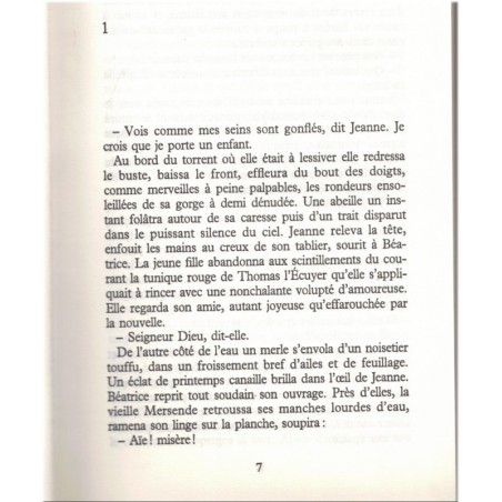 L'expédition, Henri Gougaud, 1991 - Cathares, Montségur, Moyen Age, Inquisition