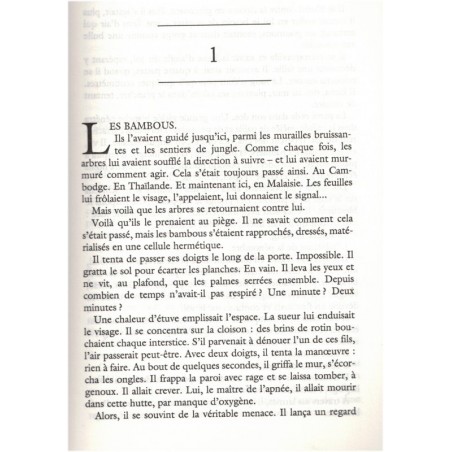 La ligne noire, Jean-Christophe Grangé, 2004 - romans français, thriller, suspense, Asie