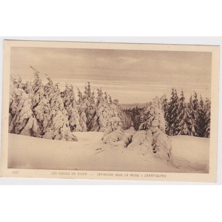 Carte postale ancienne, Les Vosges en hiver, sapinière sous la neige, Cham-du-Feu