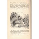 Les mille et une nuits des familles, T1, contes arabes traduits par Galland, 1924 - légendes, contes populaires,