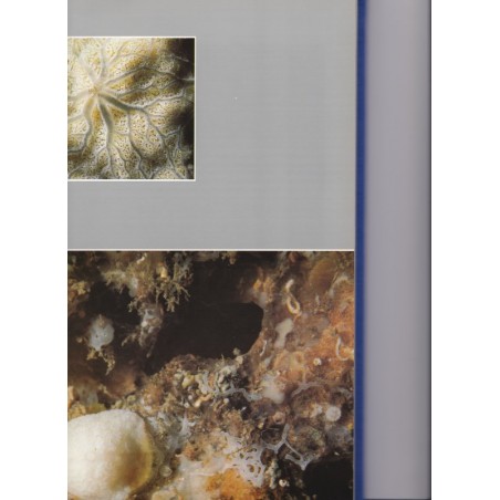 Méditerranée vivante, Harmelin, Vacelet et Petron, 1987 - monde sous-marin, animaux marins, poissons, océans,