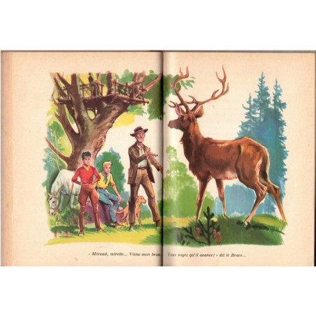 Deux garçons pour un cheval, René Guillot, 1961 - amitié cheval enfant, aventures jeunesse, collection Bibliothèque rose