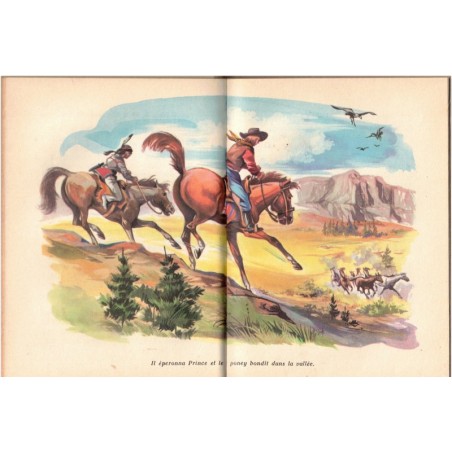 L'histoire de Buffalo Bill, Edmund Collier, 1958 - Indiens d'Amérique, Far West, Aventures Jeunesse, Bibliothèque Rose