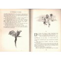 Le perroquet pourpre, Marie Moreau-Bellecroix, 1955 - Collection Idéal Bibliothèque , aventures Jeunesse pirates et corsaires
