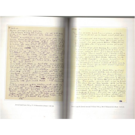 Journal 1942-1944, Hélène Berr, une vie confisquée, 2008 - biographies Shoah, 2e guerre mondiale