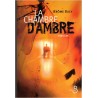 La chambre d'ambre, Jérôme Bucy, 2008 - romans suspense, thriller
