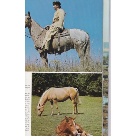 La passion des chevaux, Anne Alcock