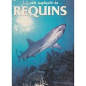 La petite encyclopédie des requins, Bordas - animaux marins, océans, monde sous-marin