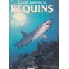 La petite encyclopédie des requins, Bordas - animaux marins, océans, monde sous-marin