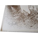 Lithographie numérotée signée Paula Noailles, femme nue aux fougères