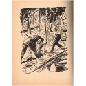 Le taureau par les cornes, Aimé Blanc, 1958 - paysan Haute Provence, , roman français, Orphelinat des Postes, Foyer de Cachan