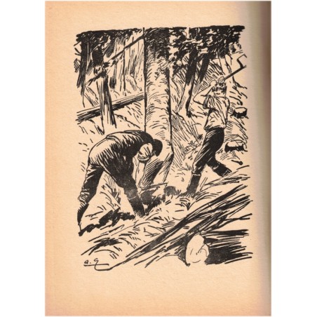 Le taureau par les cornes, Aimé Blanc, 1958 - paysan Haute Provence, , roman français, Orphelinat des Postes, Foyer de Cachan