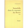 Immobile dans le courant du fleuve, Yves Berger, 1994 - fantaisie, Amérique imaginaire