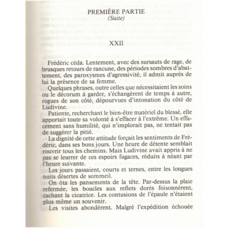 Les gens de Mogador, Ludivine 2e, Elisabeth Barbier, 1984 - saga familiale 19e s 1900, roman historique, roman d'amour, série TV