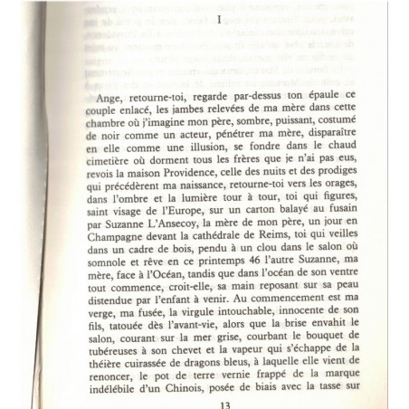 Naissance d'une passion, Michel Braudeau, 1985 - roman d'amour entre cousins, amour interdit