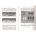 La grammaire des styles, Le style Louis XIV, Henry Martin, 1948 - Antiquités XVIIe siècle, architecture, art