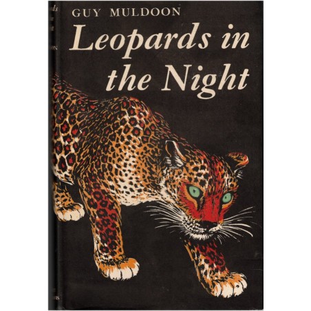 Leopards in the night, Guy Muldoon, 1955 - wild animals, animaux sauvages, chasse, félins, tigres, léopards, fauves,