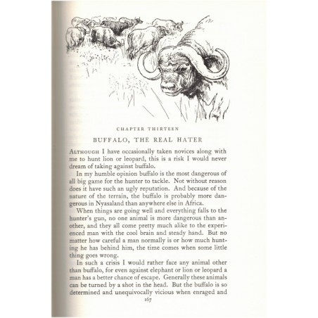 Leopards in the night, Guy Muldoon, 1955 - wild animals, animaux sauvages, chasse, félins, tigres, léopards, fauves,