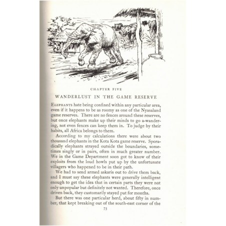 Leopards in the night, Guy Muldoon, 1955 - wild animals, animaux sauvages, chasse, félins, tigres, léopards, fauves,