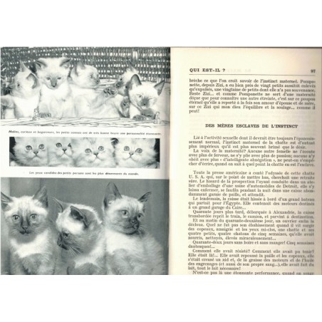 Sa majesté le chat, Fernand Méry, 1956 - animaux domestiques, félins, comportement animaux