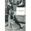 Sa majesté le chat, Fernand Méry, 1956 - animaux domestiques, félins, comportement animaux