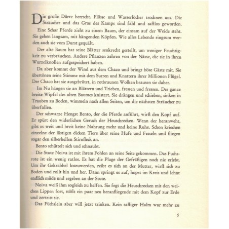 El Fuego, einer aus Bentos Herde, Ditha Holesch, 1965 - Tiere, Pferd, animaux, troupeaux de chevaux