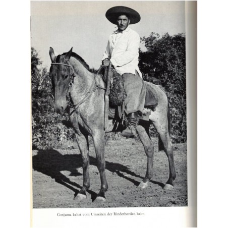 El Fuego, einer aus Bentos Herde, Ditha Holesch, 1965 - Tiere, Pferd, animaux, troupeaux de chevaux