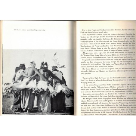 El Fuego, einer aus Bentos Herde, Ditha Holesch, 1965 - Tiere, Pferd, animaux, troupeaux de chevaux