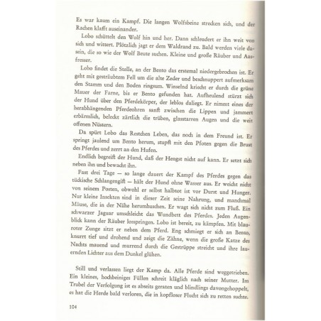 Der schwarze Hengst Bento, Ditha Holesch, 1964 - Tiere, Pferd, animaux, chevaux