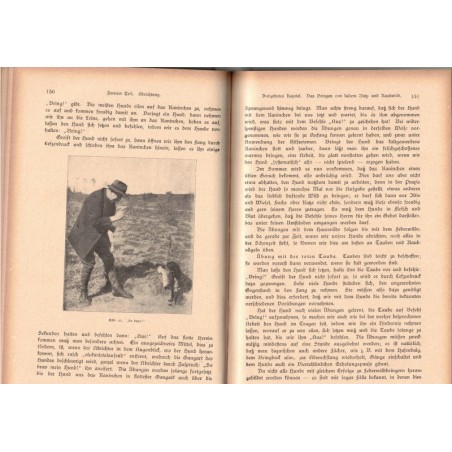 Der Gebrauchshund, Hegendorf, 1924 - éducation du chien, chiens, Hund, Tiere