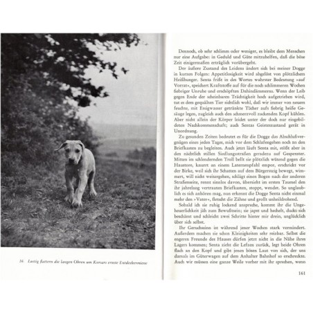 Hund und Katze, Paul Eipper - Tiere, Hund, Katz, chiens, chats, animaux familiers