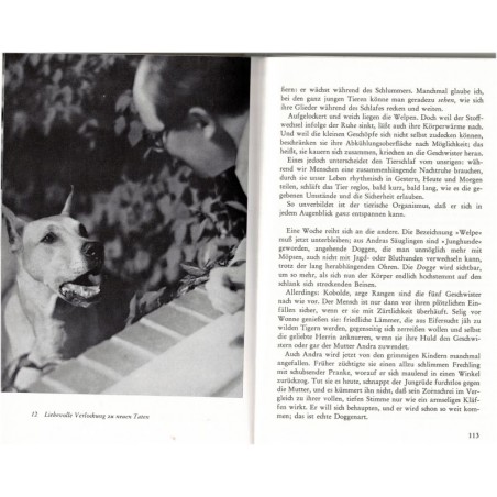 Hund und Katze, Paul Eipper - Tiere, Hund, Katz, chiens, chats, animaux familiers