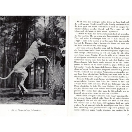 Hund und Katze, Paul Eipper - Tiere, Hund, Katz, chiens, chats, animaux familiers