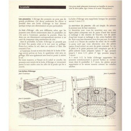 L'encyclopédie des animaux familiers, Culture art Loisirs 1968 - guide des chats, chiens, oiseaux, poissons, animaux de la ferme