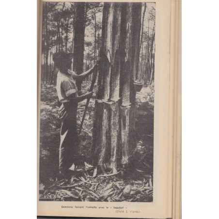 Guide touristique 1950, Pyrénées, MAAIF