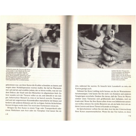So hält man Katzen, Rosanne Amberson  - Katz, Tiere, chats