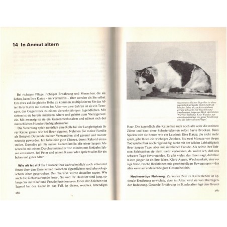 So hält man Katzen, Rosanne Amberson  - Katz, Tiere, chats