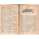 L'histoire naturelle mise à la portée de la jeunesse, Guillaume Beleze 1881 - manuel sciences naturelles, zoologie, botanique,