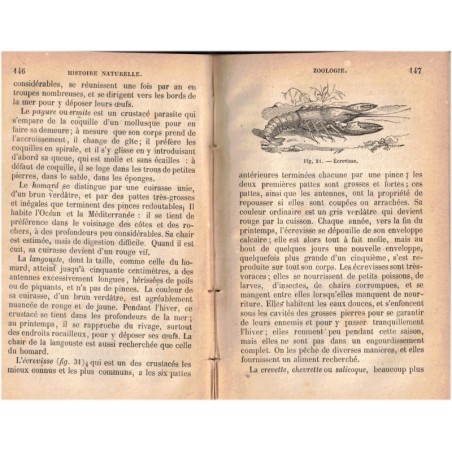 L'histoire naturelle mise à la portée de la jeunesse, Guillaume Beleze 1881 - manuel sciences naturelles, zoologie, botanique,