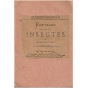 Reptiles, insectes infiniment petits, Rion - entomologie, insectes, serpents, poissons, papillons, reptiles, zoologie,