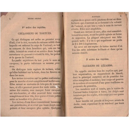 Reptiles, insectes infiniment petits, Rion - entomologie, insectes, serpents, poissons, papillons, reptiles, zoologie,