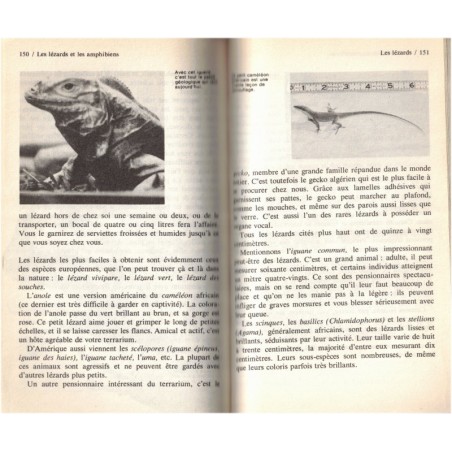 Le guide marabout des animaux familiers, Jon Messmann, 1976 - chats, chiens, poissons, oiseaux - animaux domestiques