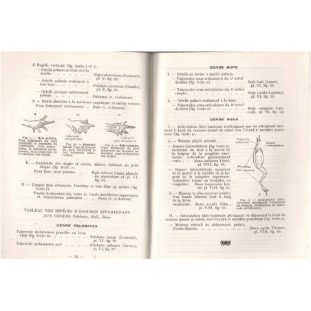 Petit atlas des amphibiens et reptiles, Jacques Pellegrin, Boubée, 1946 - histoire naturelle, animaux sauvages, zoologie,