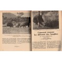 Les cahiers de chasse et de nature, Tony Burnand, année 1952 - récit de chasse, magazines chasseurs, animaux sauvages